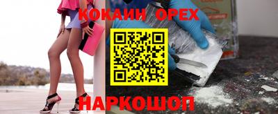 стаф Кунгур