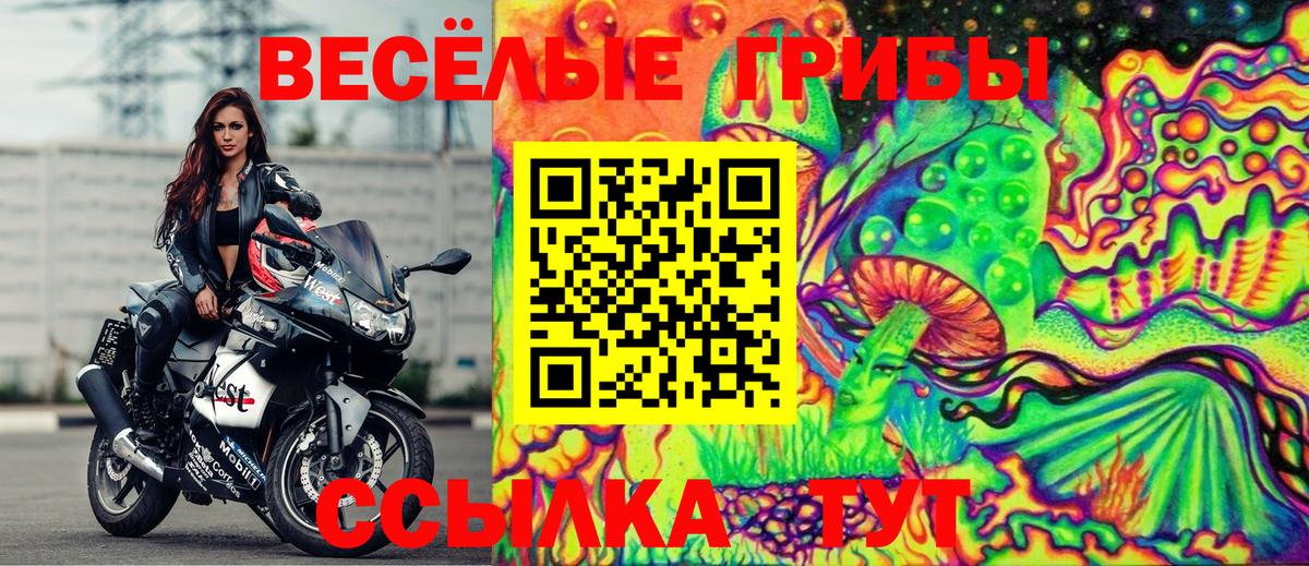 Дзержинск  Псилоцибиновые грибы MAGIC MUSHROOMS  Вход с VPN  Псилоцибиновые грибы прущие грибы 